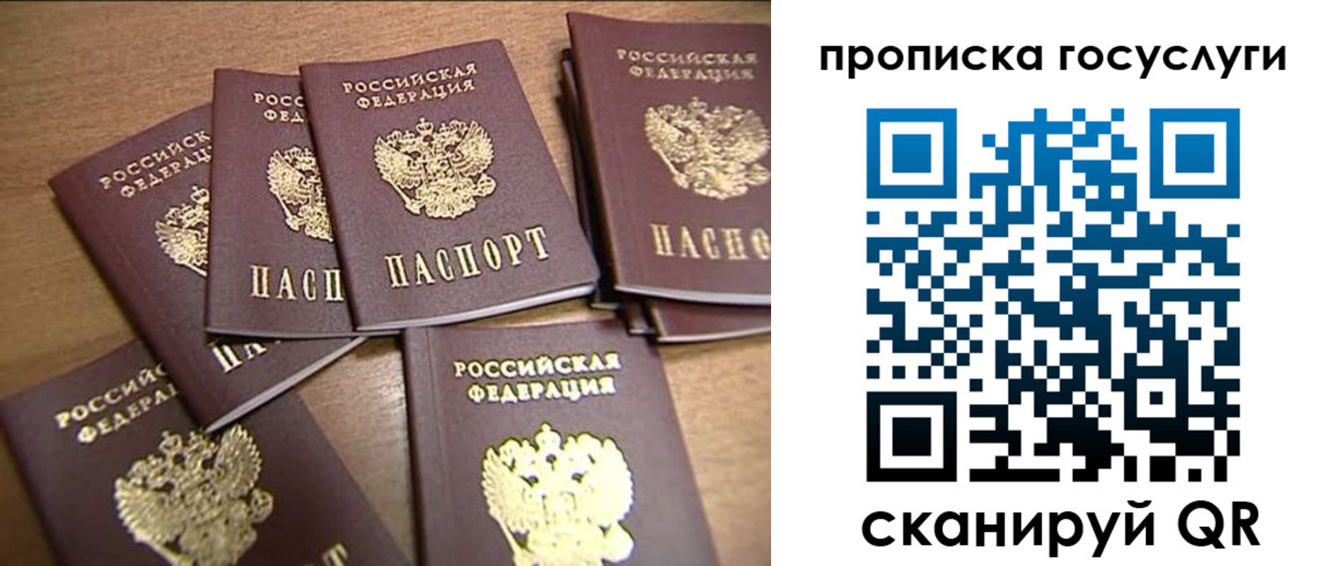 прописка ребенка в Бокситогорске
